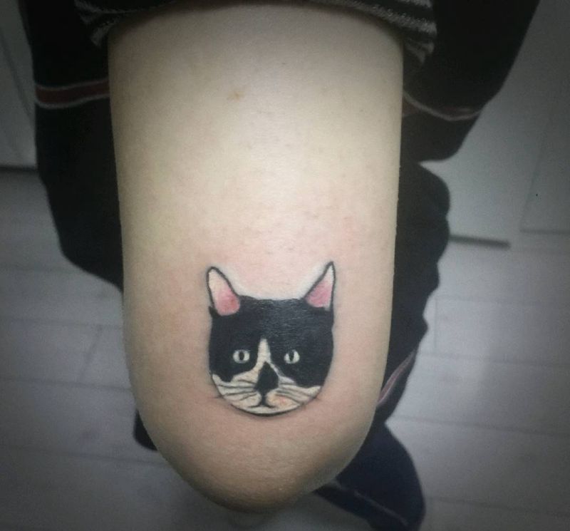 猫咪纹身图片_手臂欧美写实Old School纹身图案