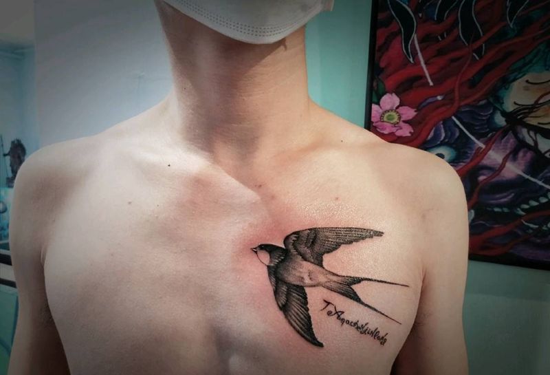 燕子纹身图片_胸部欧美写实点刺纹身图案