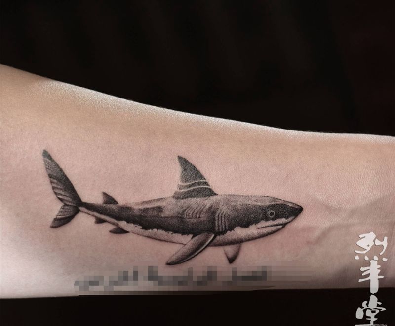 鲨鱼纹身图片_手臂欧美写实鲨鱼写实纹身图案