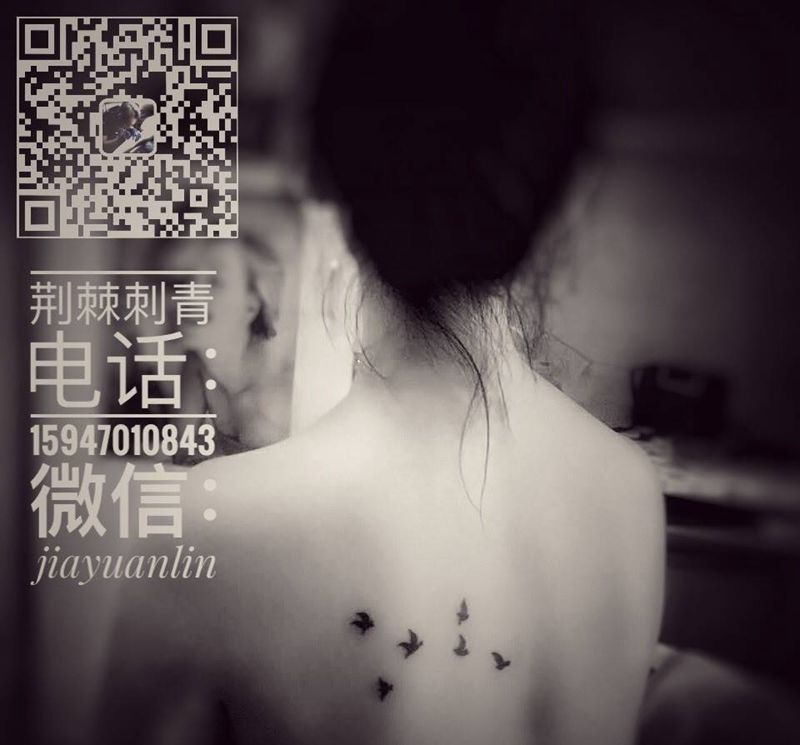 小海鸥纹身图片