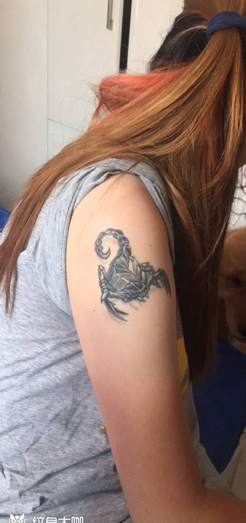 星际捕梦网纹身图片_成品手臂清新纹身图案