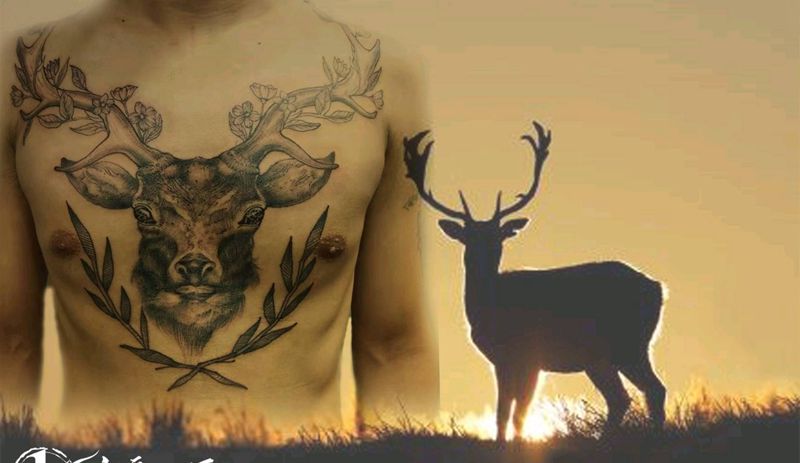 鹿，未完纹身图片