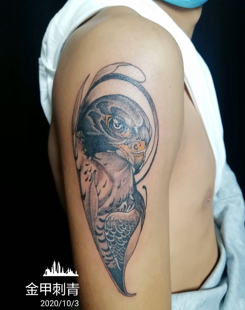 隼纹身图片_手臂动物纹身图案