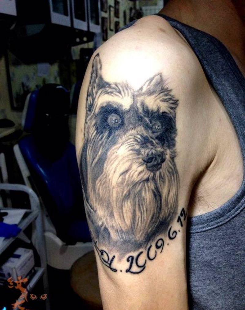 写实雪纳瑞纹身图片