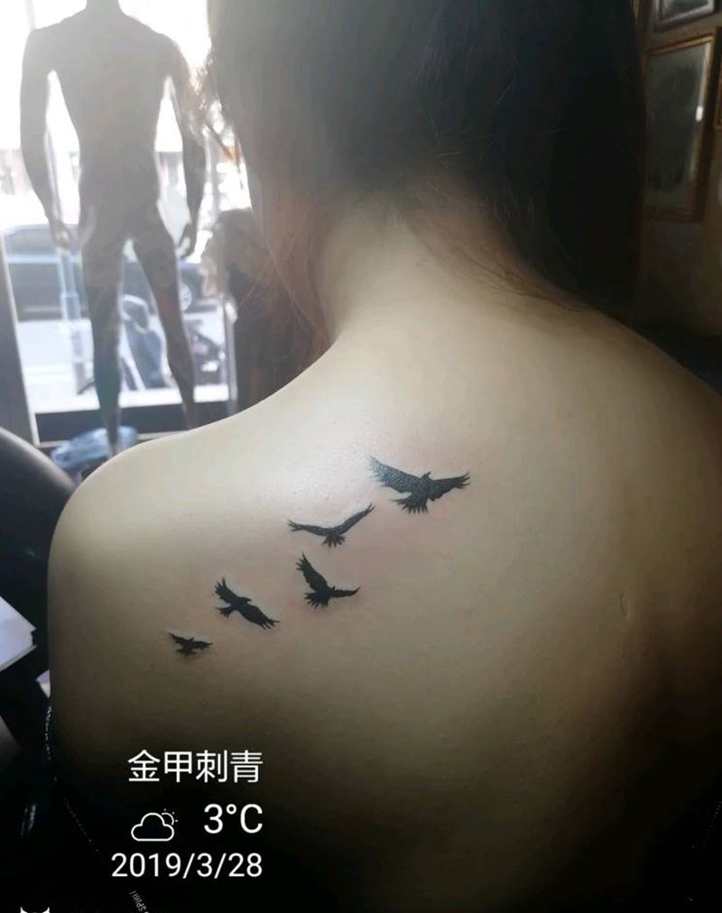 鸟纹身图片_背部纹身图案