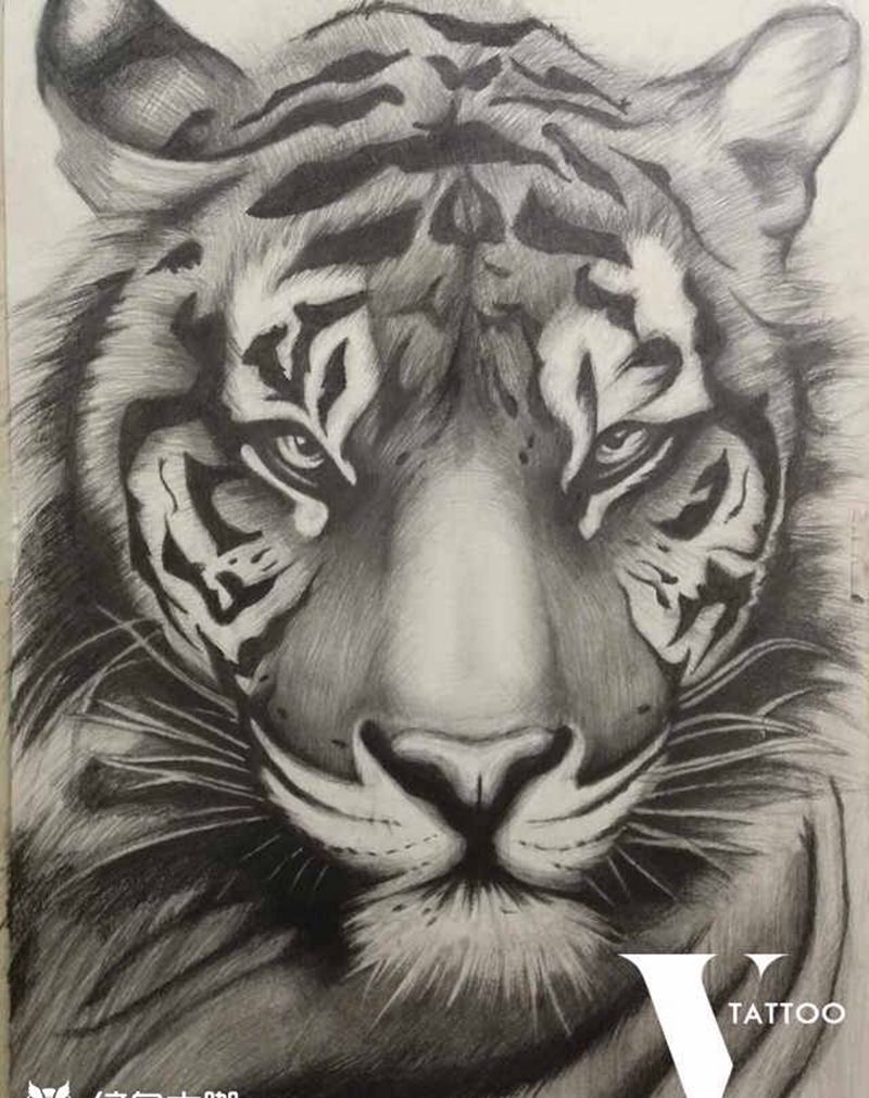 老虎纹身图片