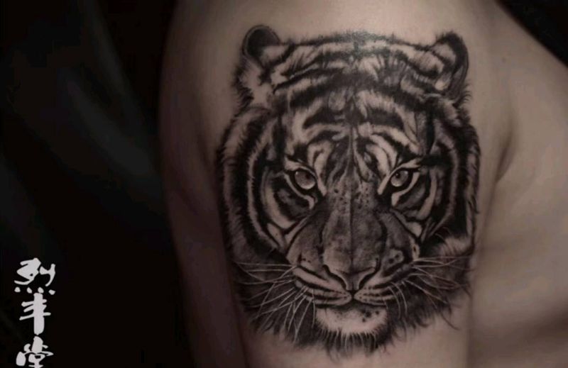 双虎纹身图片_肩部手臂欧美写实虎纹身图案