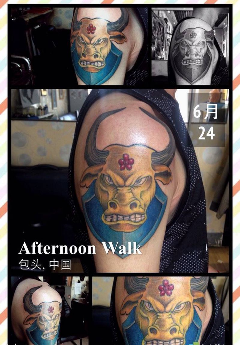 牛头梅花盾牌纹身图片_手稿肩部手臂欧美动物原创纹身图案