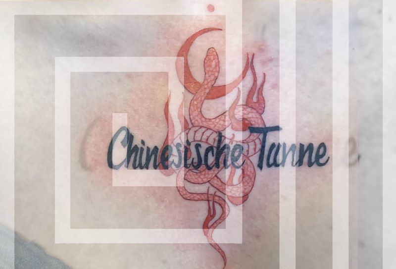 红蛇纹身图片_胸部几何花体字蛇纹身图案