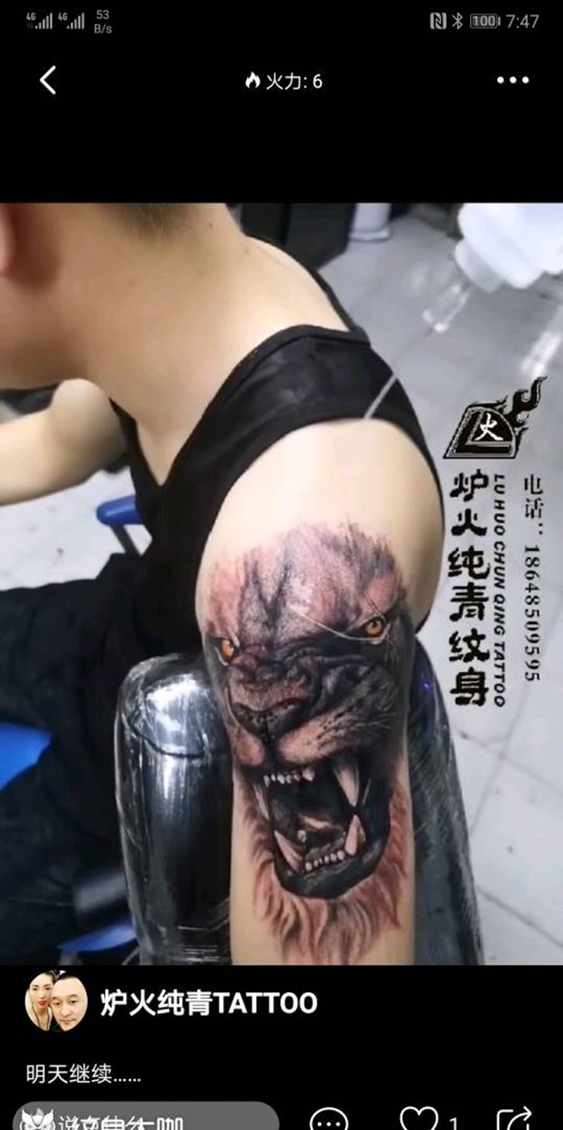 心有雄狮细嗅蔷薇!纹身图片