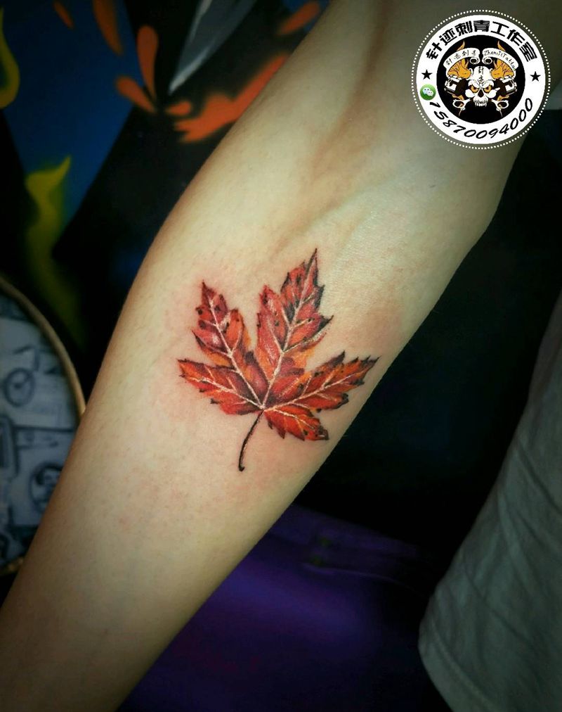 枫叶纹身图片
