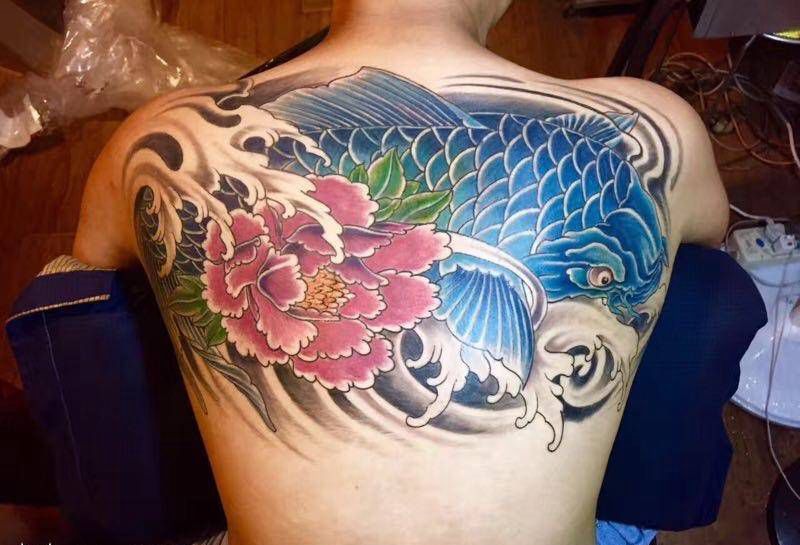 后背彩色锦鲤纹身图片_成品背部传统动物纹身图案