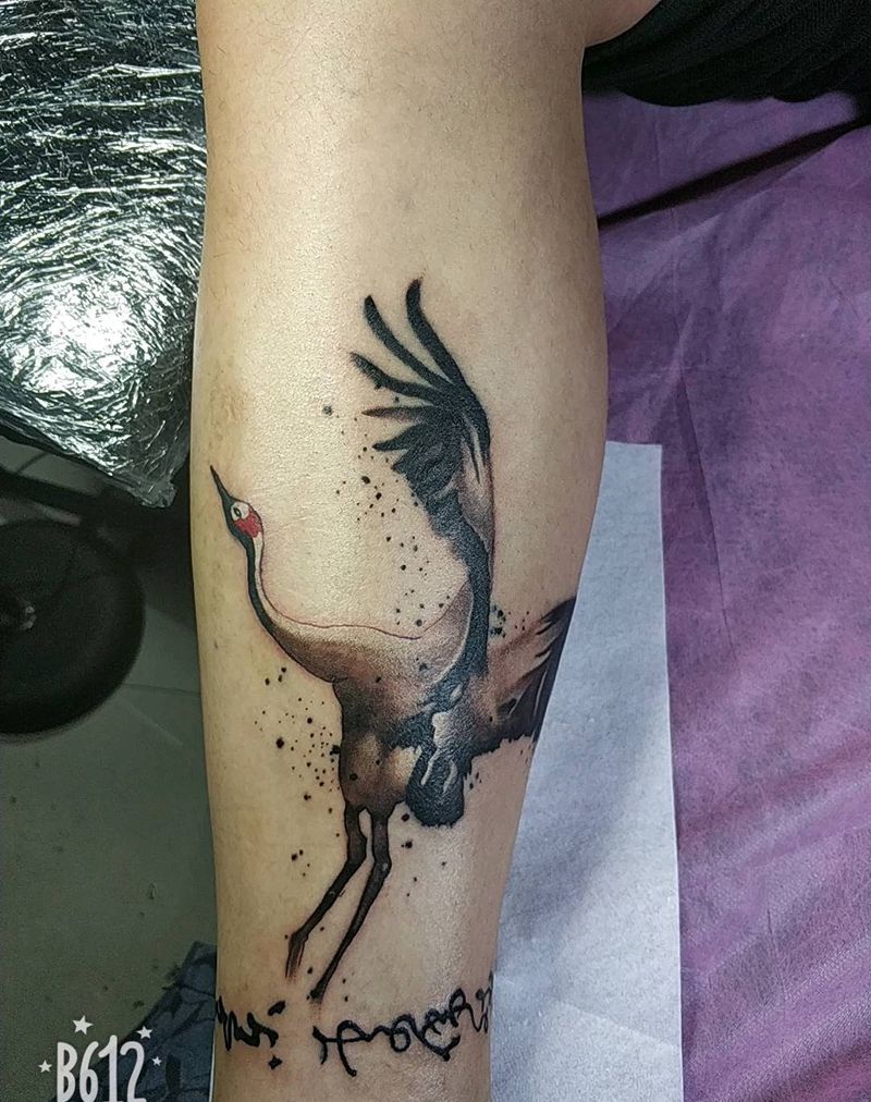 鹤纹身图片_腿部老传统鹤纹身图案