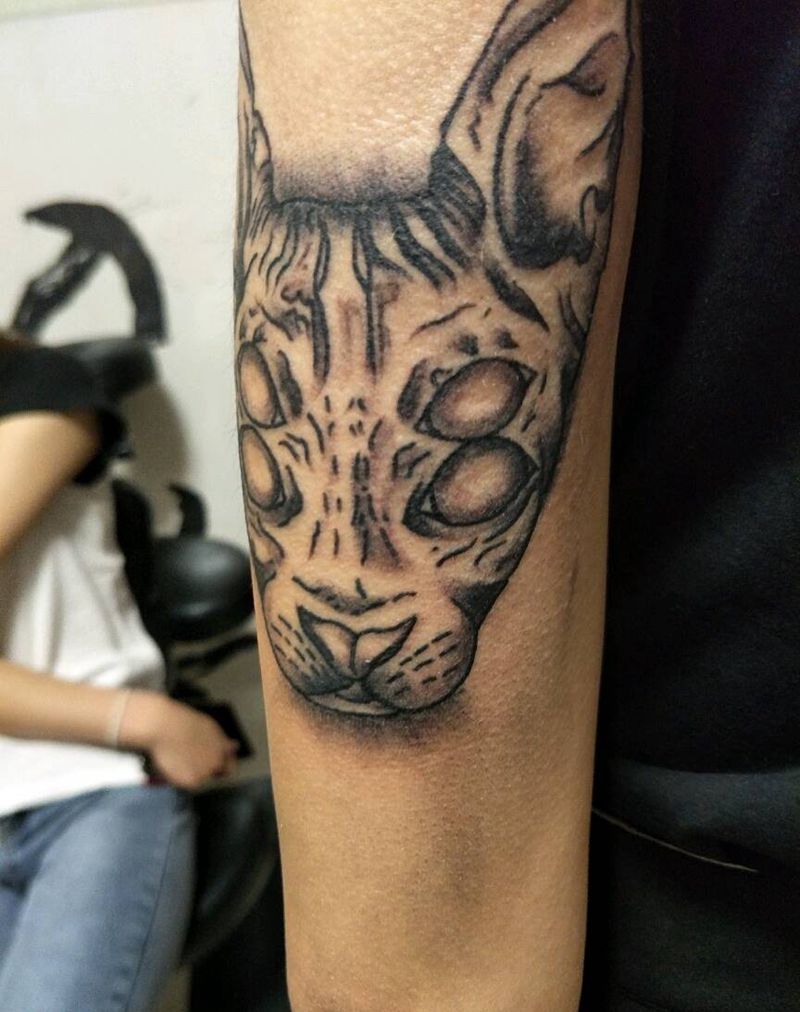 斯芬克斯黑暗猫纹身图片