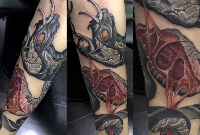 店内作品 school蛇纹身图片_手臂New School纹身图案