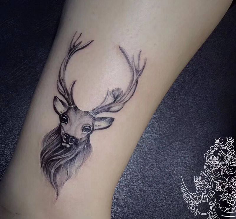 清新小鹿纹身图片_腿部脚部小清新纹身图案