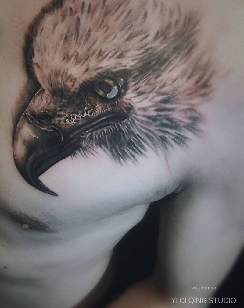 鹰纹身图片_胸部欧美写实纹身图案