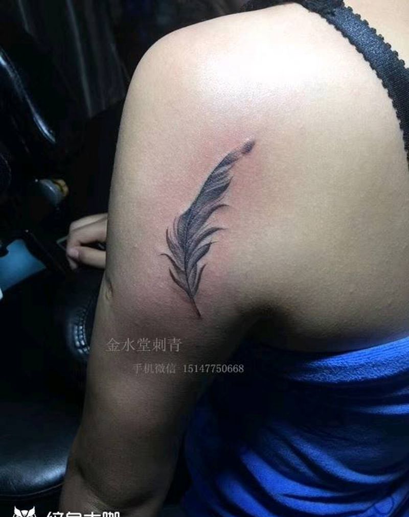 羽毛纹身图片_背部胸部清新纹身图案