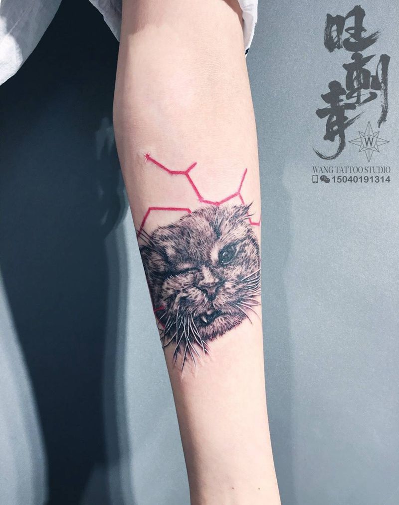 表情猫纹身图片_手臂猫纹身图案