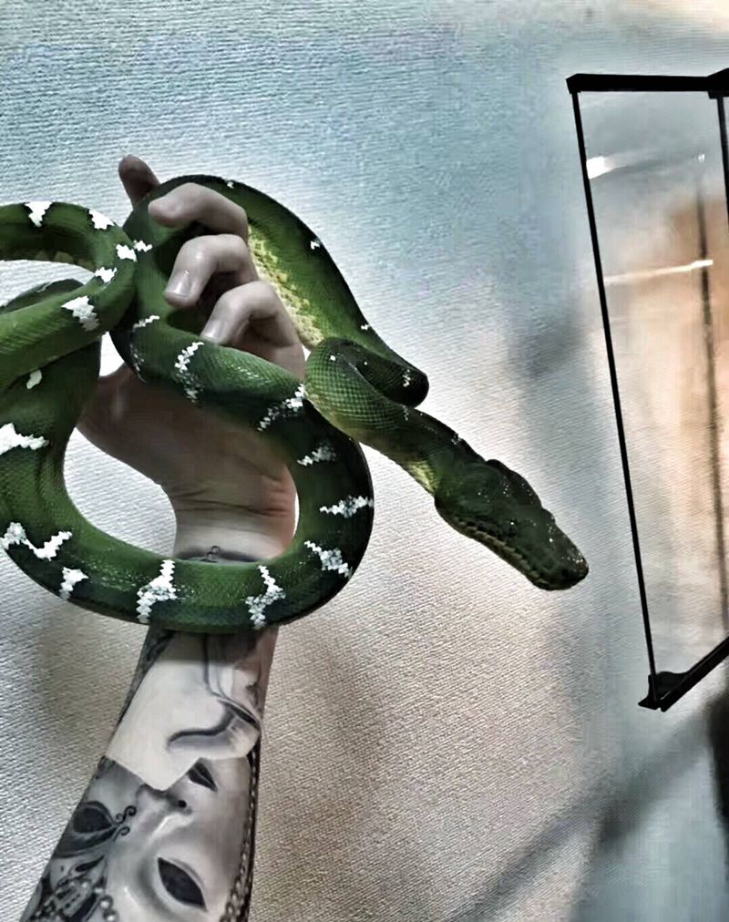 买家秀纹身图片_欧美写实小伟刺青纹身图案