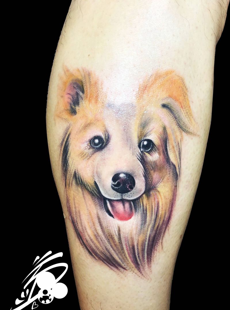 原创边牧纹身图片_脚部欧美写实宠物边牧纹身图案