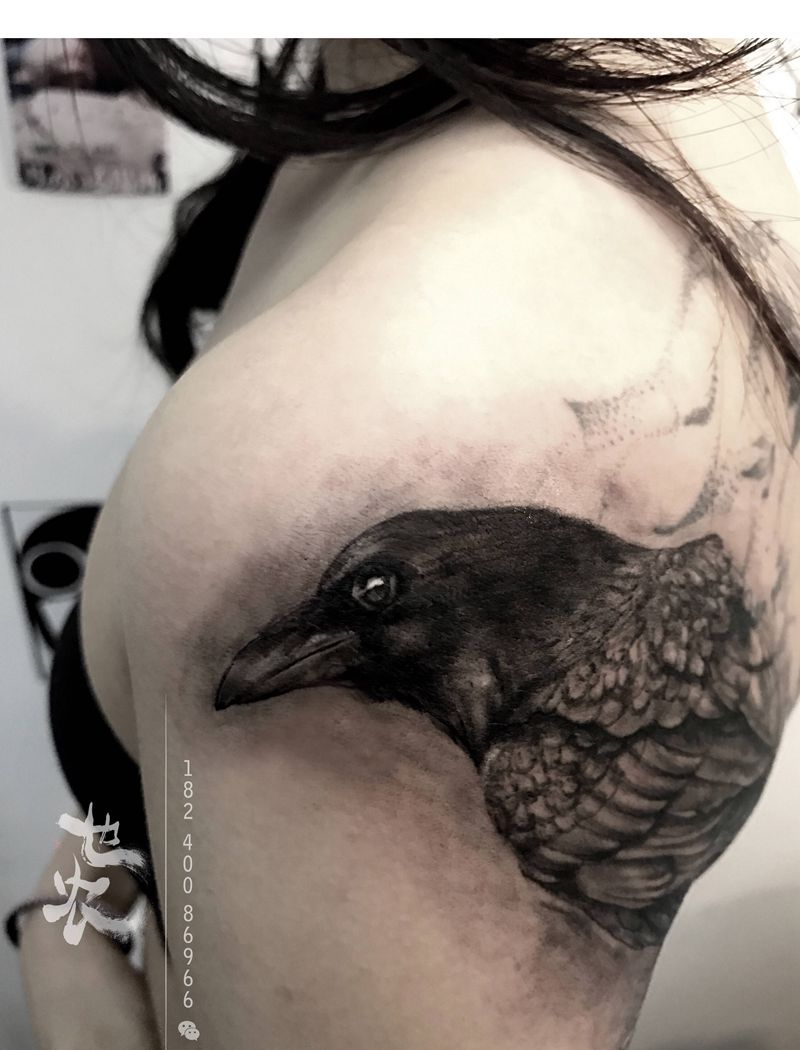 美女写实乌鸦纹身图片_手臂背部欧美写实水墨乌鸦男生女生覆盖纹身图案
