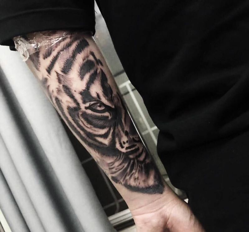 小臂黑灰老虎纹身图片_手臂欧美写实纹身图案