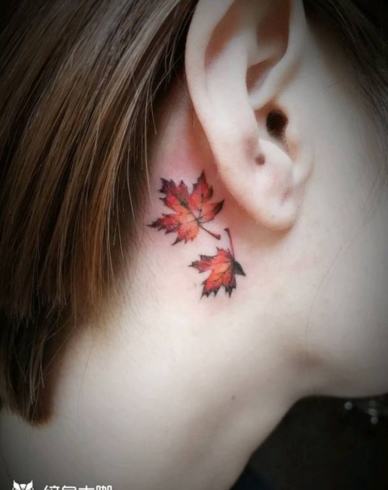 听~枫在风中摇曳