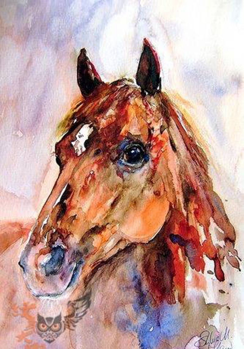 马纹身素材纹身图片_手稿插画手臂背部胸部腿部肩部传统欧美动物纹身图案