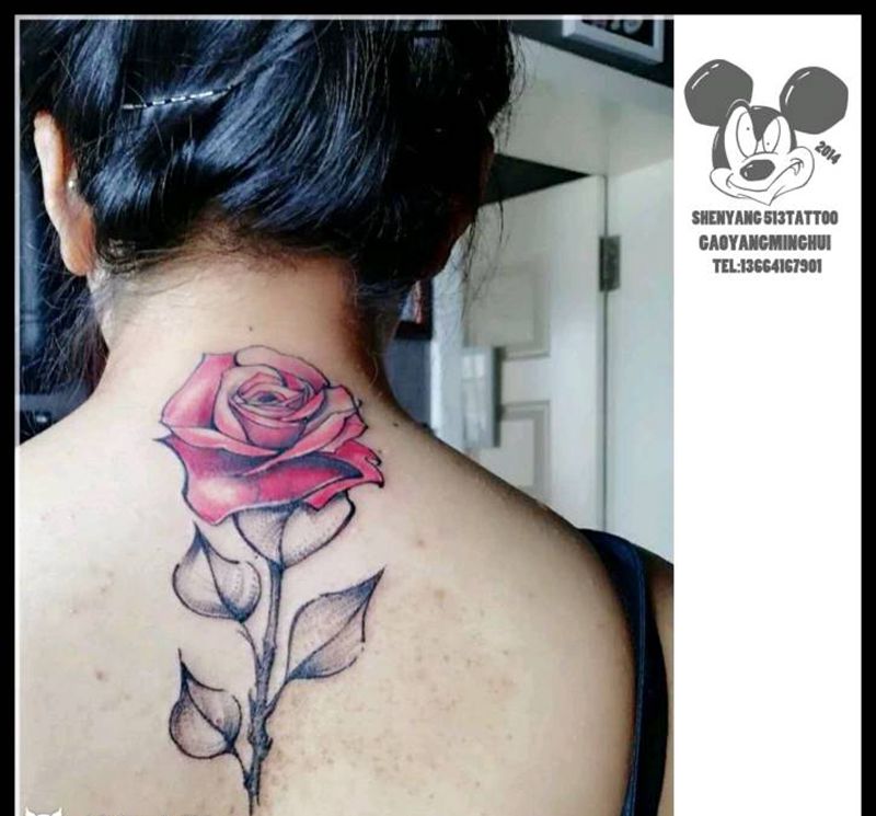 遮盖纹身图片_背部清新植物原创成品纹身图案