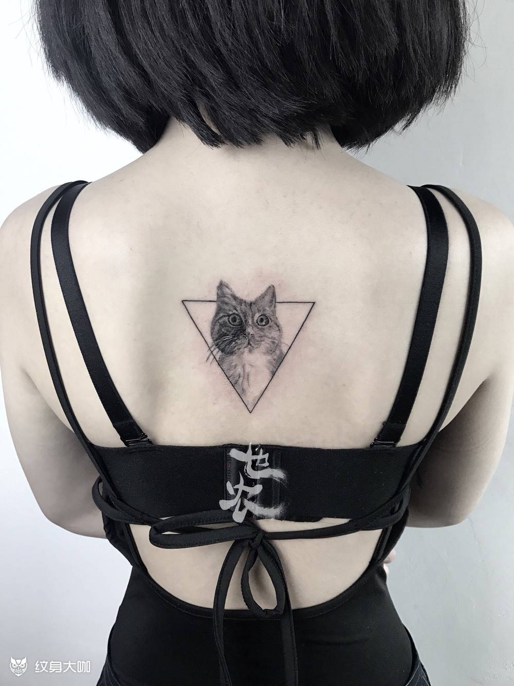 【   写实老虎   】 迟更…纹身图片_成品背部写实清新动物也农刺青情侣原创纹身图案