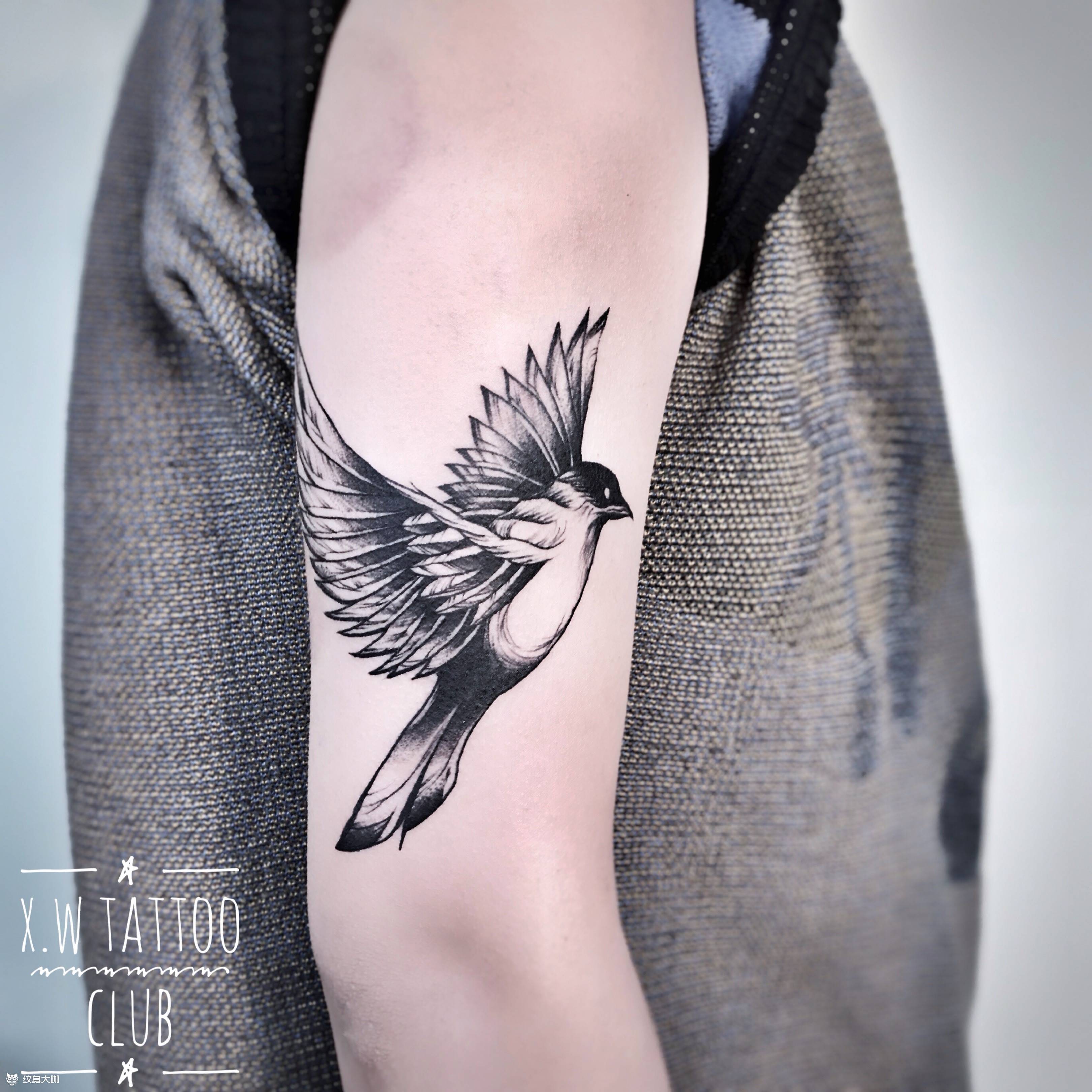 无腿鸟的执念纹身图片_小伟刺青线条纹身图案