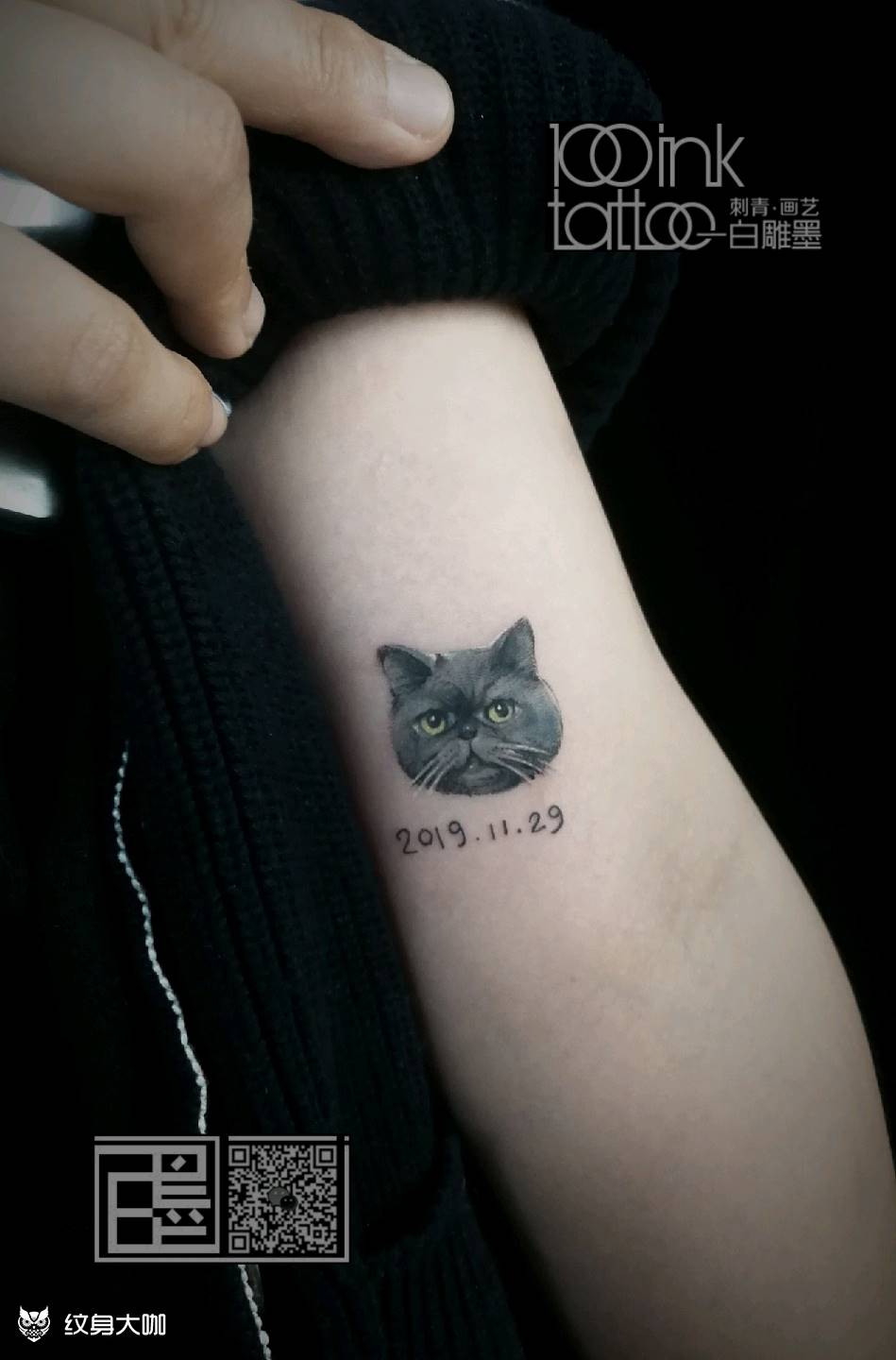 猫纹身图片_手臂欧美写实猫纹身图案