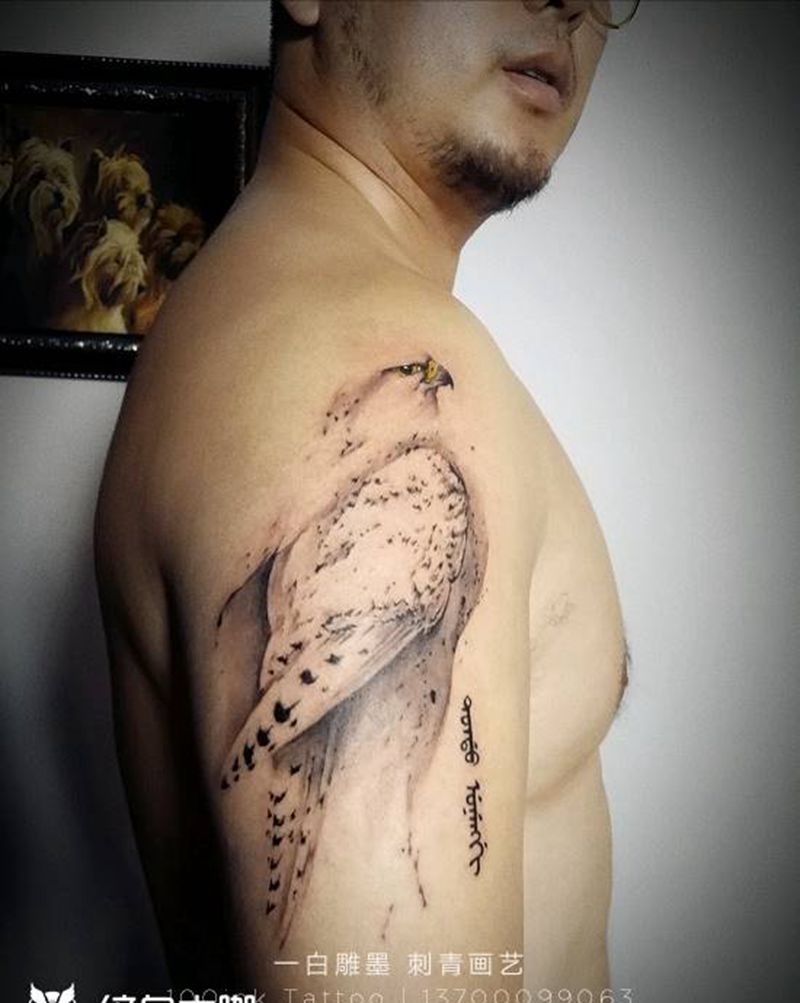 海东青纹身图片_手臂国画动物成品纹身图案