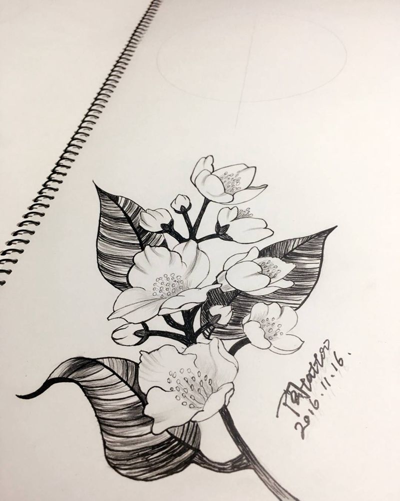 《花》手稿纹身图片_腹部腰部背部手臂腿部清新植物手稿肩部胸部纹身图案