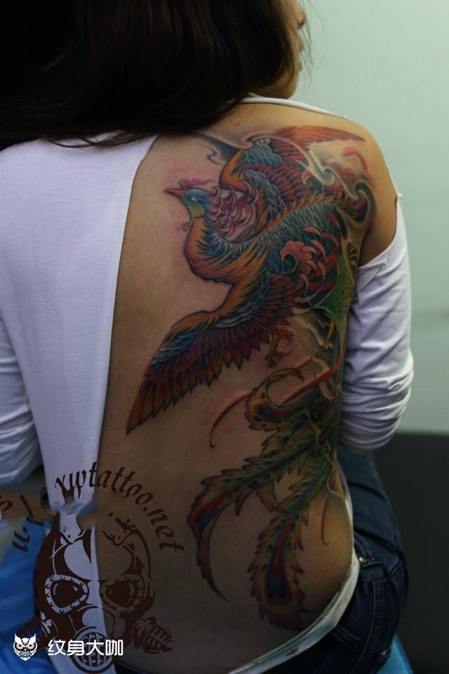 半背凤凰纹身图片_小伟刺青传统纹身图案