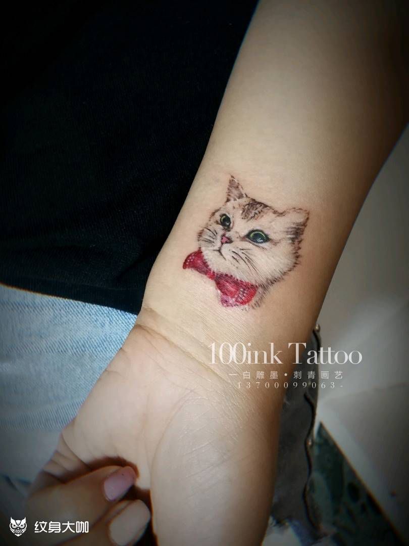 猫纹身图片_手臂清新动物成品纹身图案