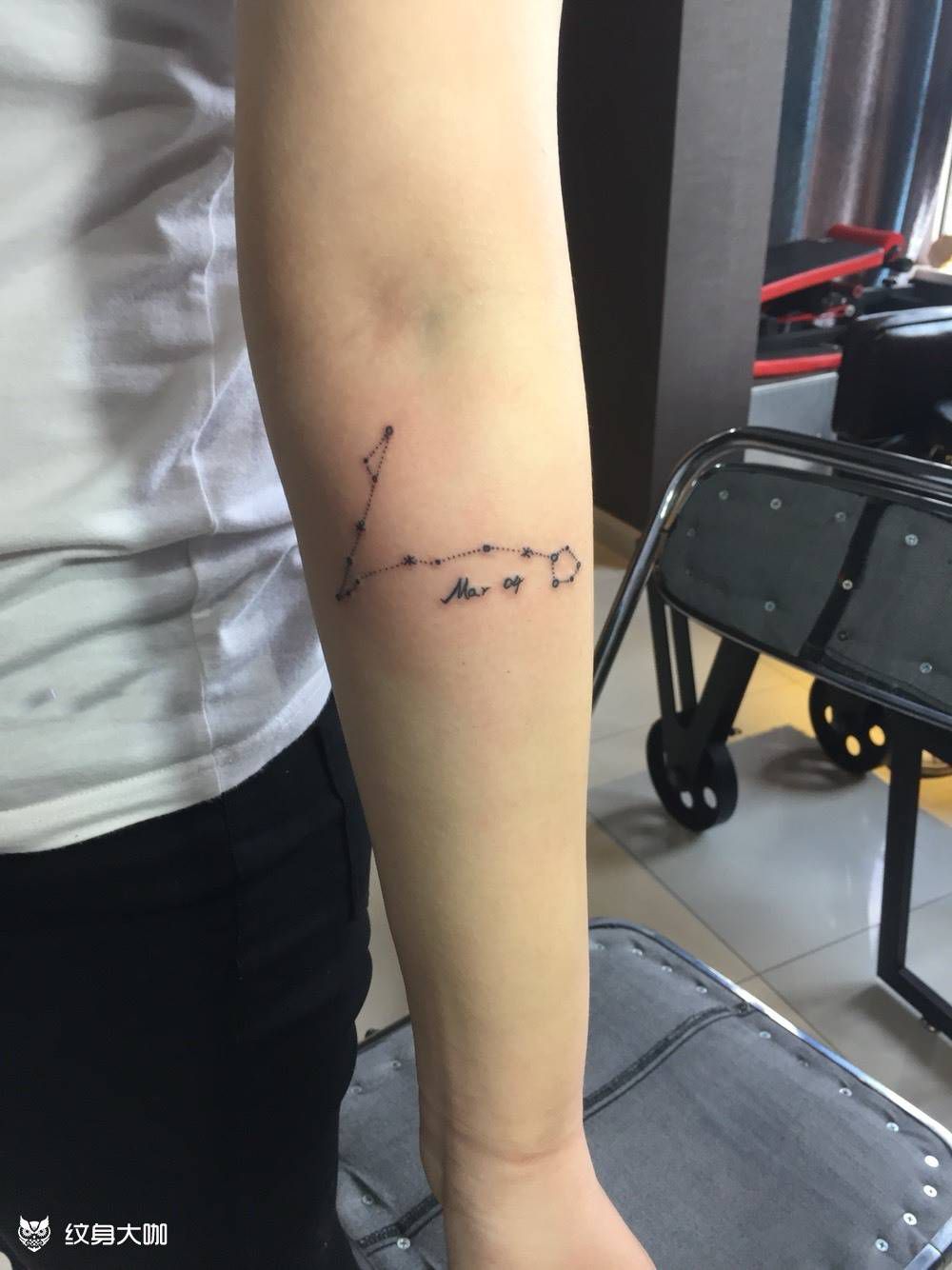 双鱼座纹身图片_成品手臂清新纹身图案