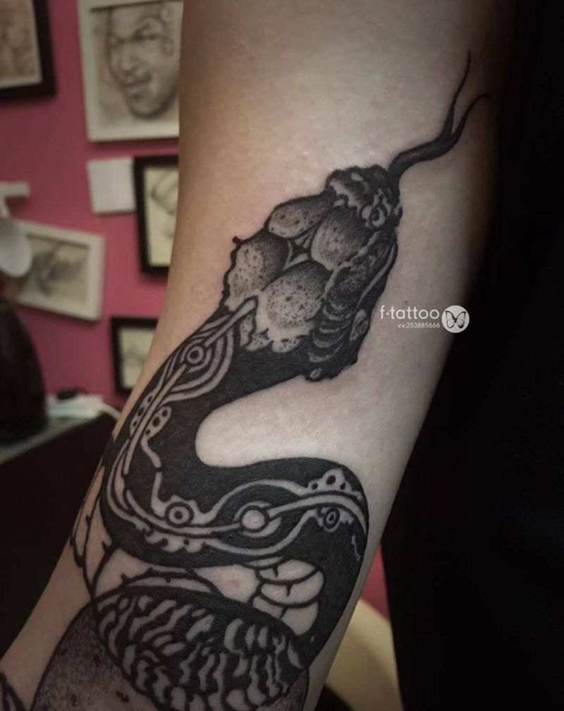 蛇纹身图片_手臂欧美写实蛇school纹身图案