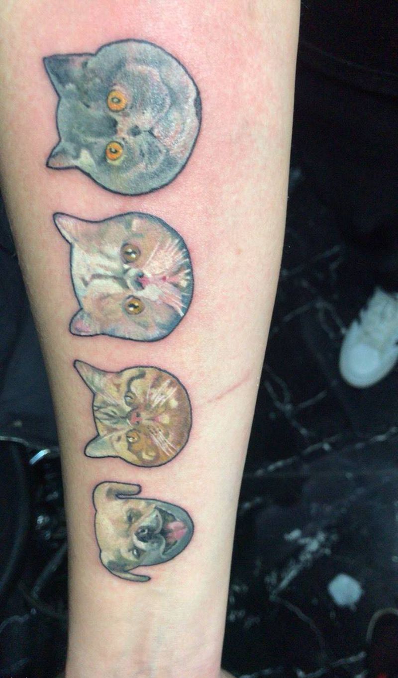 家有四宝纹身图片_欧美写实猫咪宠物小狗纹身图案