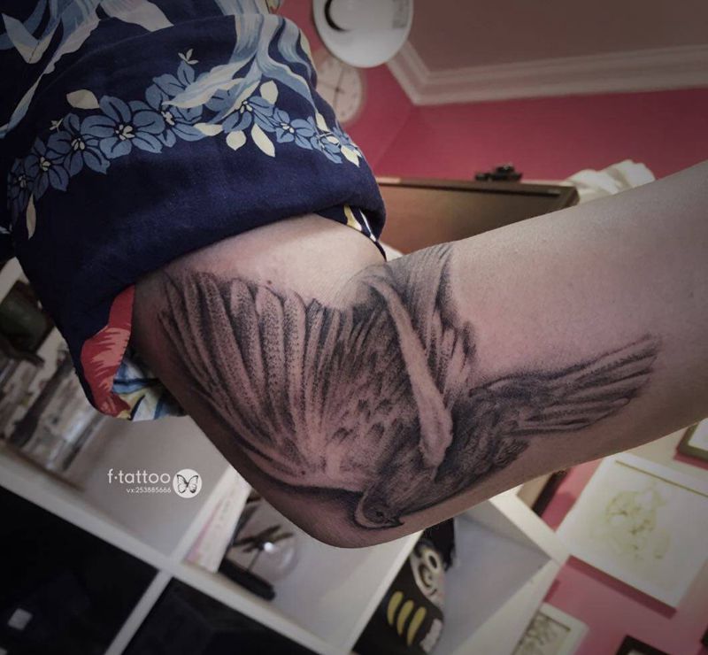 和平鸽.纹身图片_手臂欧美写实鸽子小清新动物纹身图案