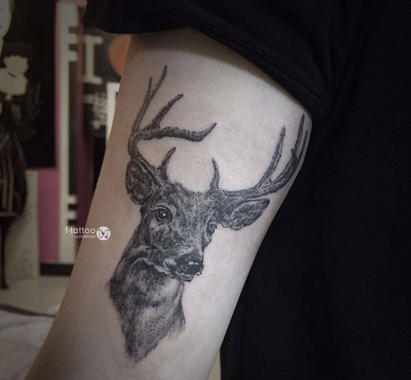 鹿.纹身图片_手臂鹿小清新纹身图案