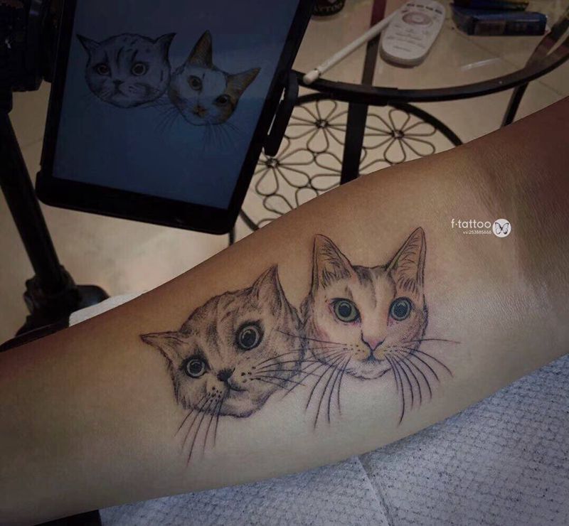 两只爱宠.纹身图片_手臂小清新猫纹身图案