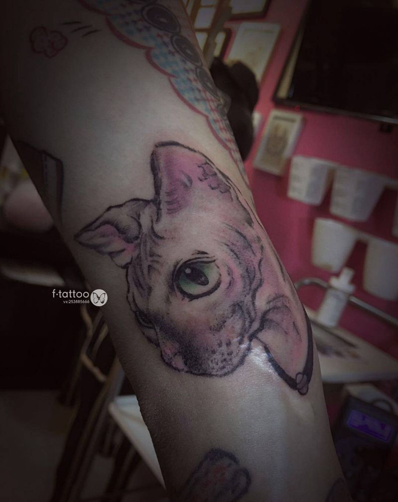 喵～纹身图片_手臂Old School猫彩色小清新纹身图案