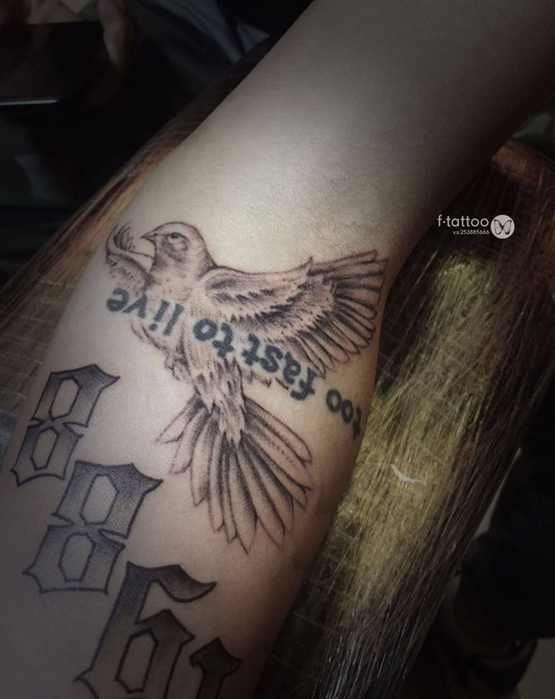随性拼纹身图片_成品手臂欧美清新动物英文字母鸟数字纹身图案