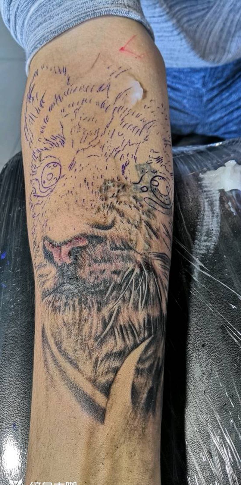虎虎生威纹身图片_手臂欧美写实纹身图案