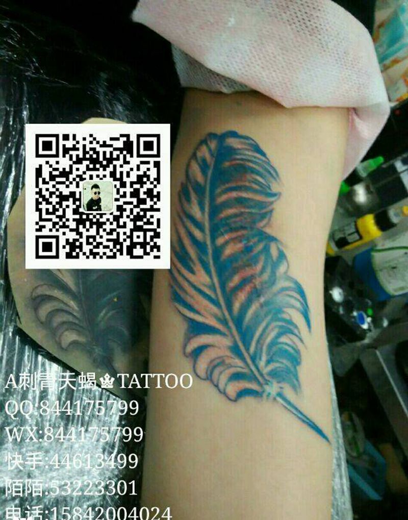 羽毛纹身图片