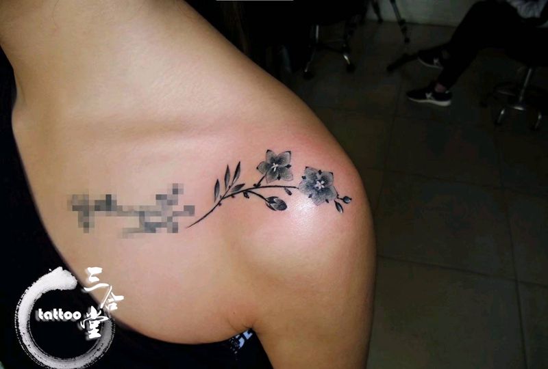 花纹身图片_肩部清新国画植物三合堂纹成品纹身图案