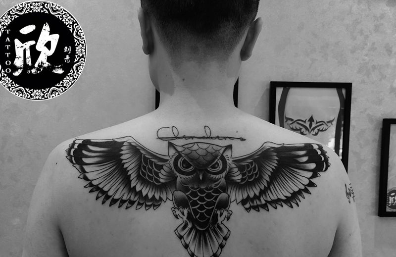 猫头鹰纹身图片_背部欧美写实猫头鹰纹身图案