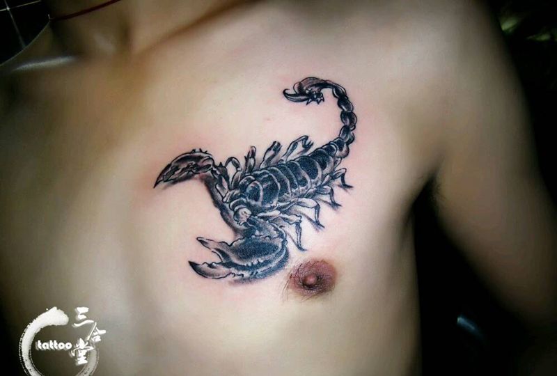 蝎子纹身纹身图片_胸部欧美动物营口鲅鱼圈纹熊岳盖州成品纹身图案